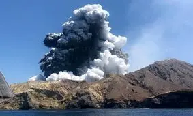 کاری که خاکستر آتشفشان لاپالما با آبزیان کرده است