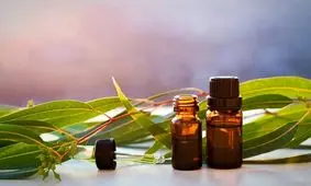 بهترین آفت کش باغچه و گلدون، از نوع ارگانیکش