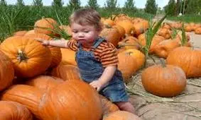 عکس های دیدنی وجالب روز، از بزرگترین کدو حلوایی تا نخستین اجرای نمایش اوپرا در نیویورک