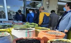 وضعیت بزرگترین میدان خشکبار کشور مطلوب نیست