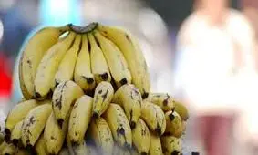 اخراج ۷ پناهجوی سوری از ترکیه به علت موز خوردن