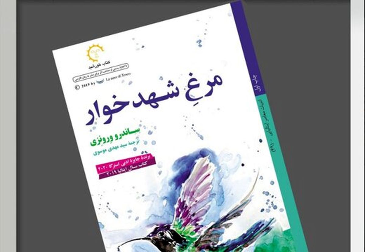 مرغ شهدخواری که سوار زمان میشود