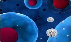 ابداع یک مولکول شبیه به دارو که می‌تواند به درمان سرطان کمک کند