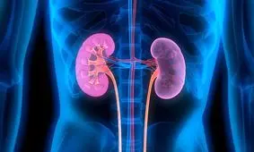 ترکیبات طبیعی برای انهدام سنگ‌ های کلیوی