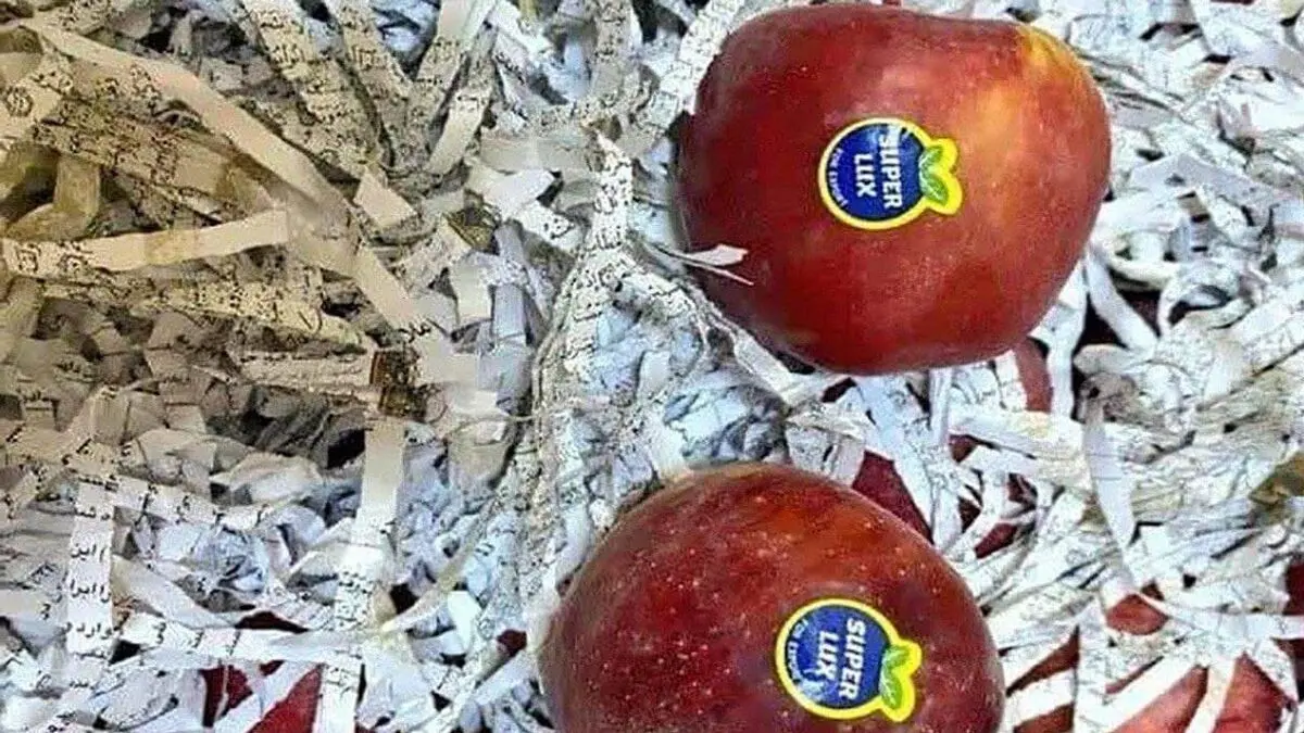 هتک حرمت به قرآن در بین میوه های صادراتی!