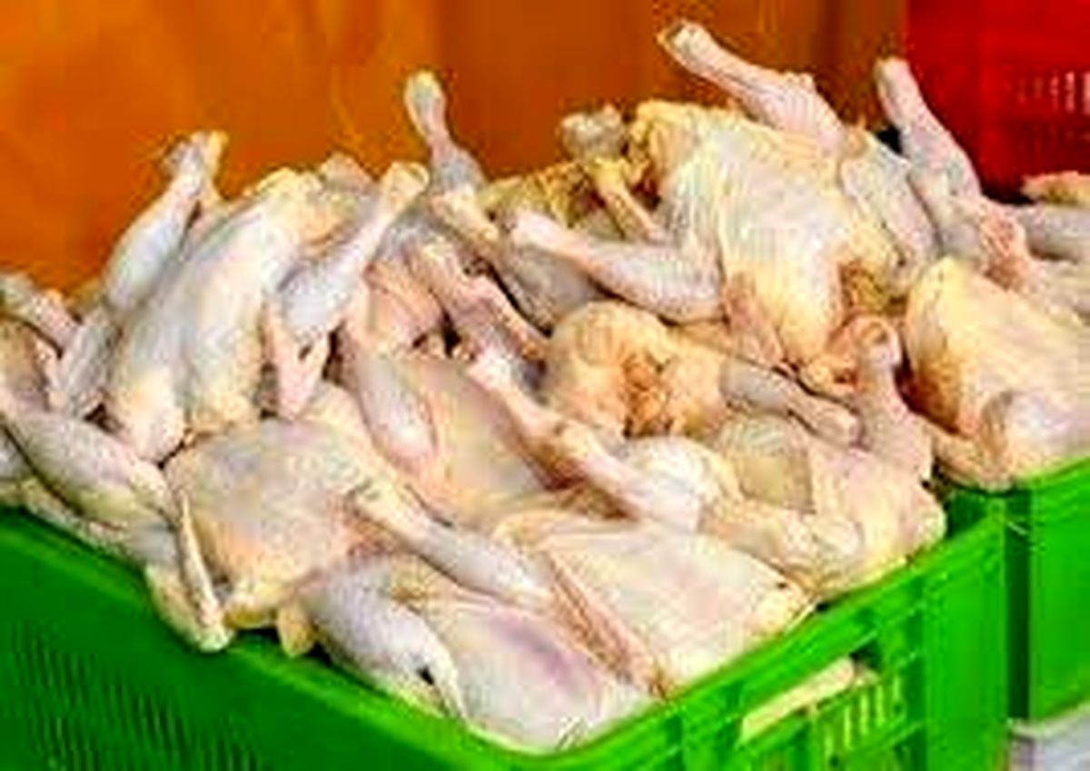اعلام نرخ مصوب مرغ کیلویی ۲۰ هزار تومان، عرضه مرغ زیاد می‌شود