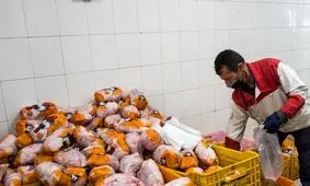 مرغ ارزان می شود؟