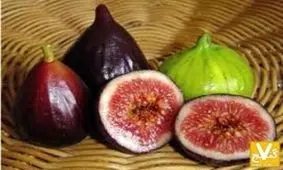 آشنایی با خواص شگفت انگیز انجیر