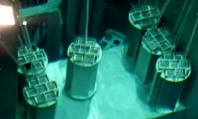 فاکس نیوز مدعی شد: القاعده اورانیوم به تهران می‎آورد