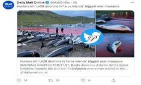 بزرگترین قتل عام دلفین ها