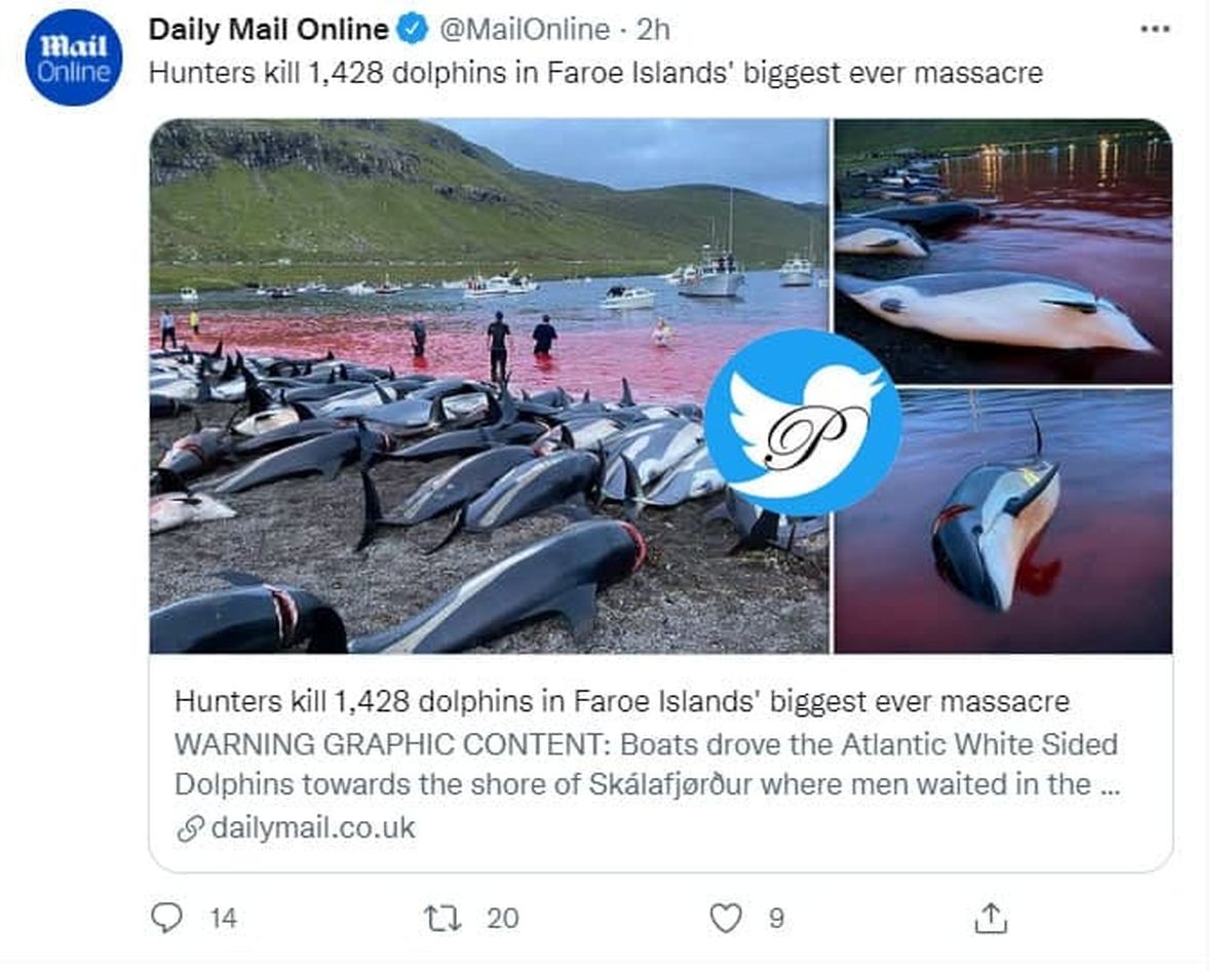 بزرگترین قتل عام دلفین ها