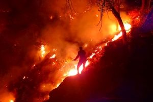 آتش سوزی عمدی جنگل های کوه "نیر" لوداب بویراحمد