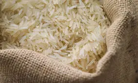 متعادل سازی بازار برنج با لغو ممنوعیت واردات