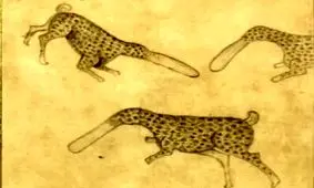 نقاشی‌های ناصرالدین شاه رونمایی شد