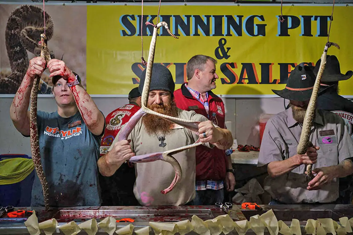 فستیوال مارکشی در آمریکا