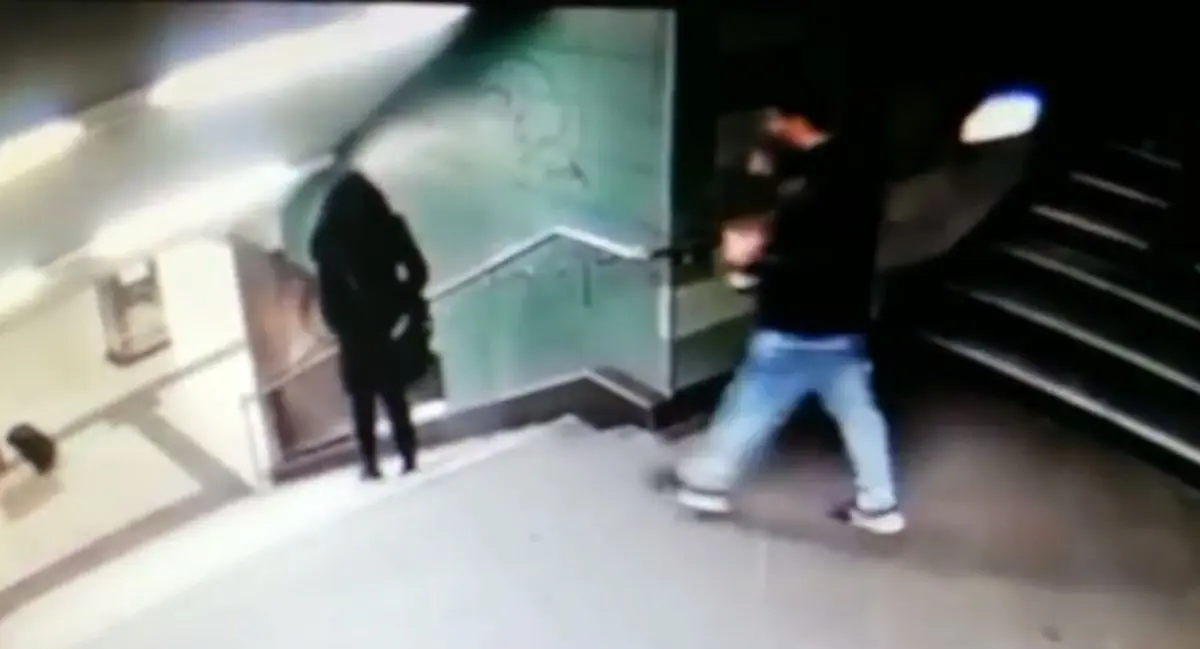 پلیس آلمان به دنبال ضارب بی رحم دختر محجبه+ فیلم