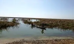 معاون استاندار خوزستان: انفجاری در هورالعظیم رخ نداده است/علت فوت ۲ صیاد در دست بررسی است