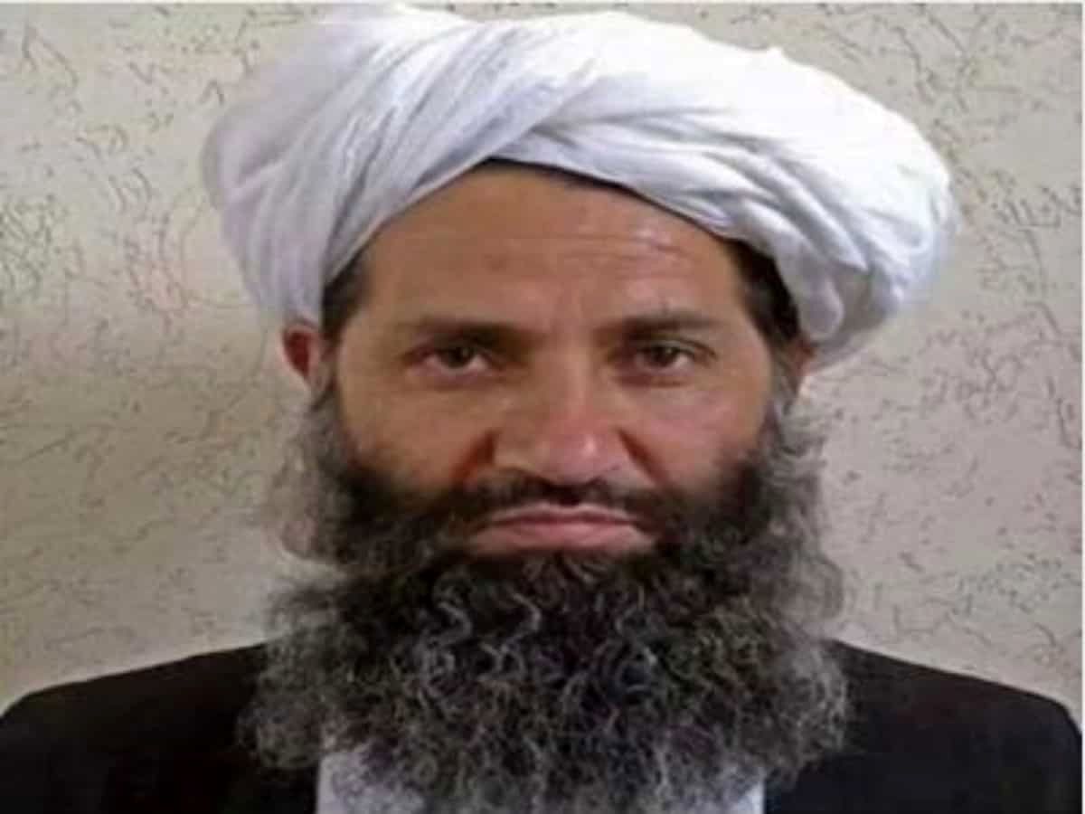 یک مقام ارشد طالبان: امیرالمومنین ما امیرالمومنین کل جهان است/ ویدئو