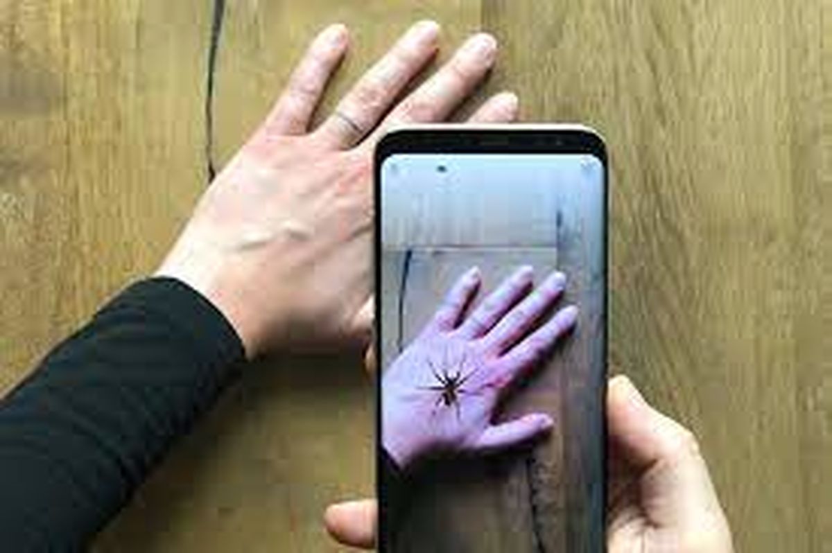 درمان "عنکبوت‌ هراسی" با کمک یک اپلیکیشن تلفن همراه