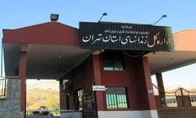 اداره کل زندان های تهران: علت فوت شاهین ناصری در دست بررسی است