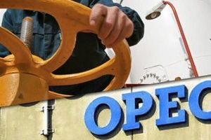 اوپکی‌ها تولید نفت را 170 هزار بشکه کاهش دادند