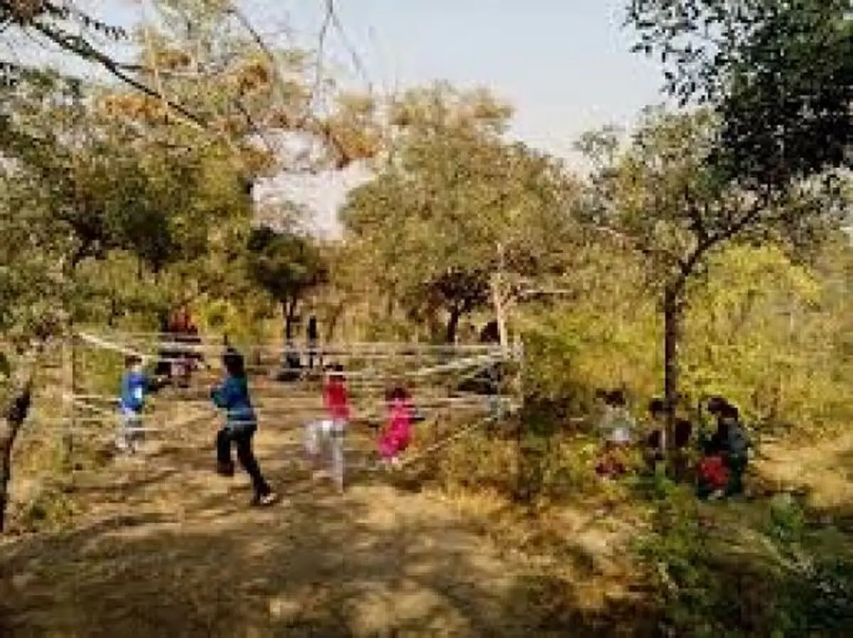 مدارس طبیعت مناسب برای کودکان 3 تا 12 سال