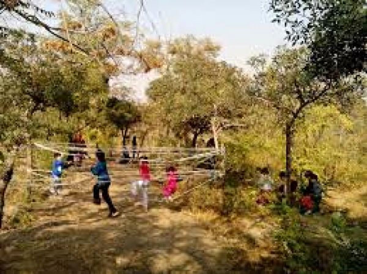 مدارس طبیعت مناسب برای کودکان 3 تا 12 سال