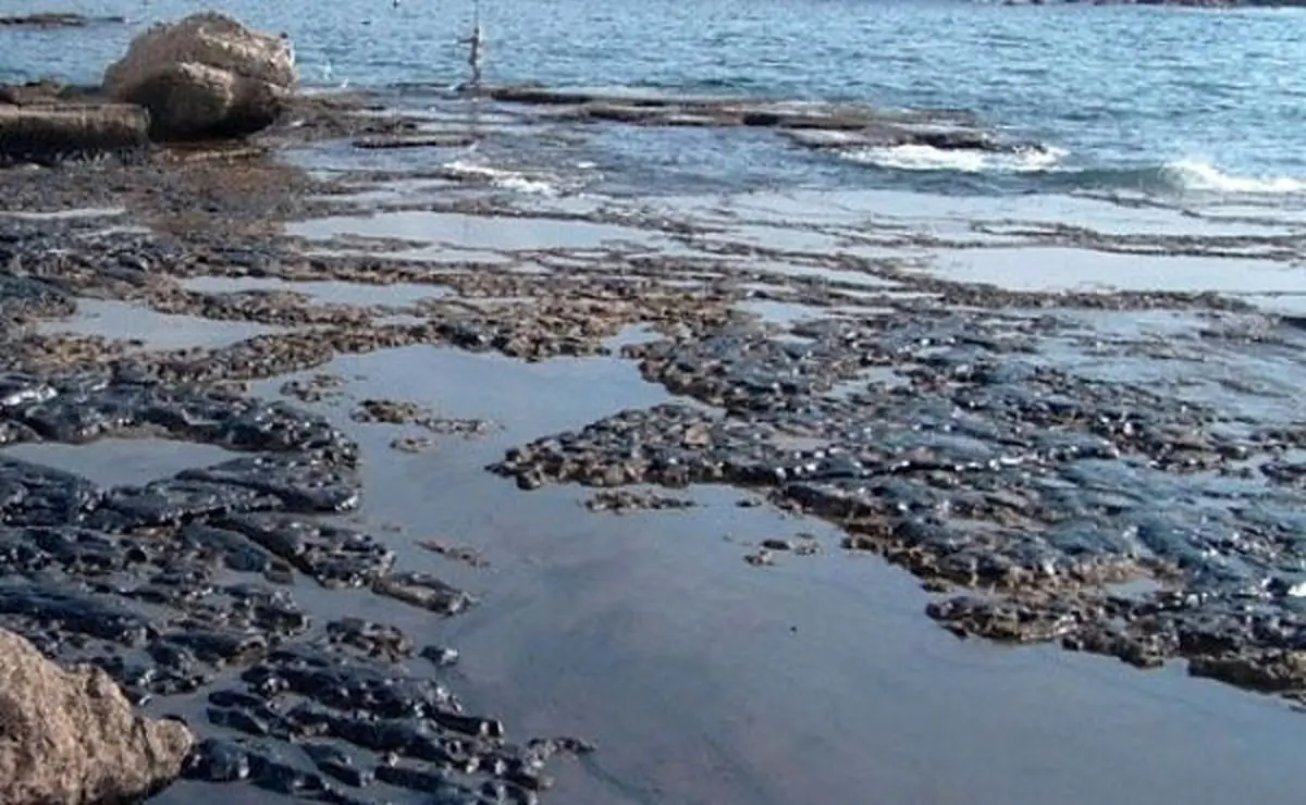 آلودگی نفتی گسترده در سواحل بندر ماهشهر