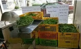 پشت پرده پیازهای سرخ کرده خانگی و مغازه های سبزی خرد کن