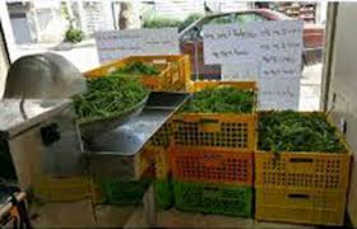 پشت پرده پیازهای سرخ کرده خانگی و مغازه های سبزی خرد کن
