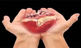 افزایش 70 درصدی اهدای عضو در ایران