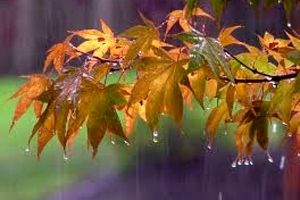 پاییز گرم و کم باران