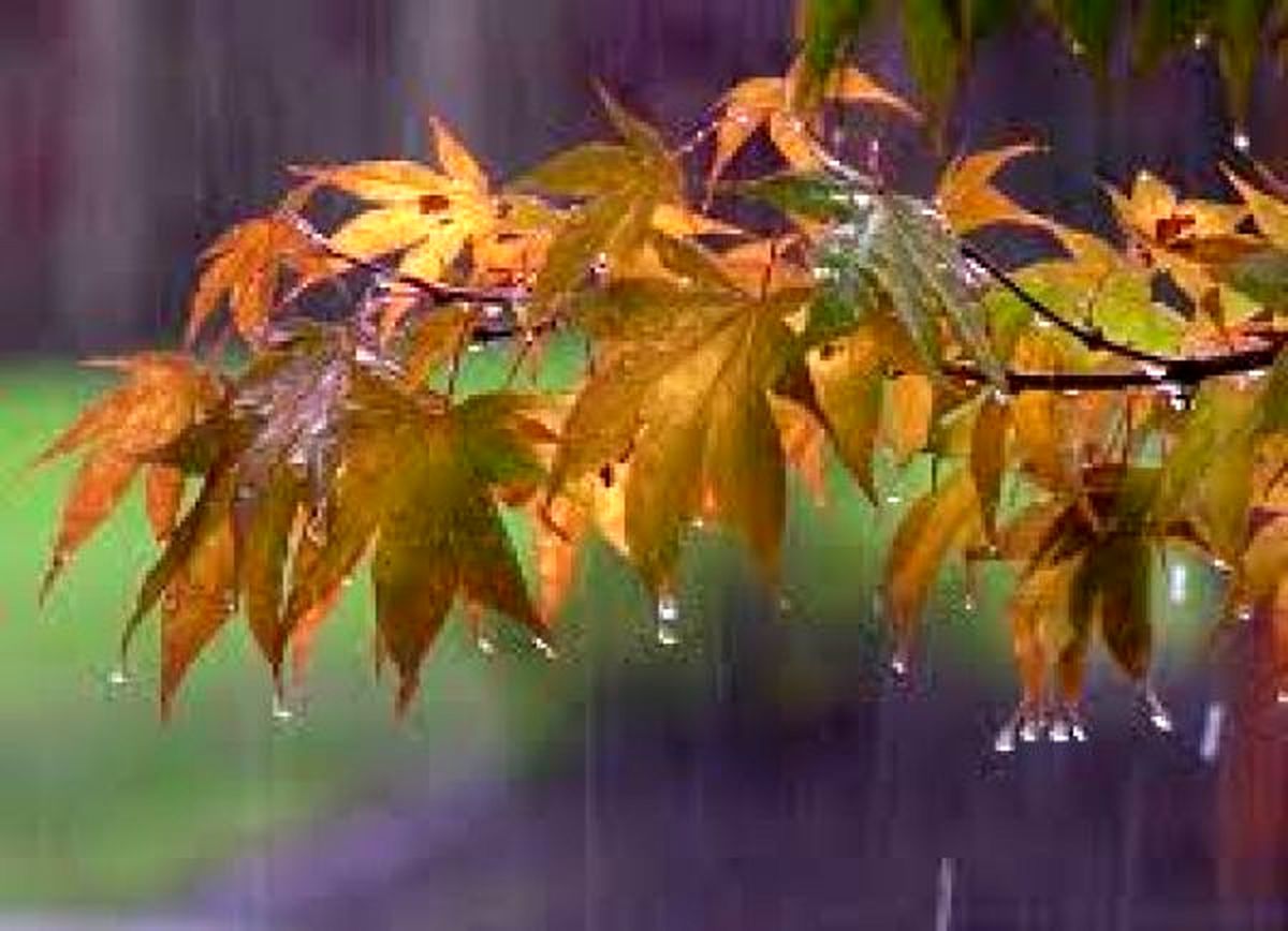 پاییز گرم و کم باران