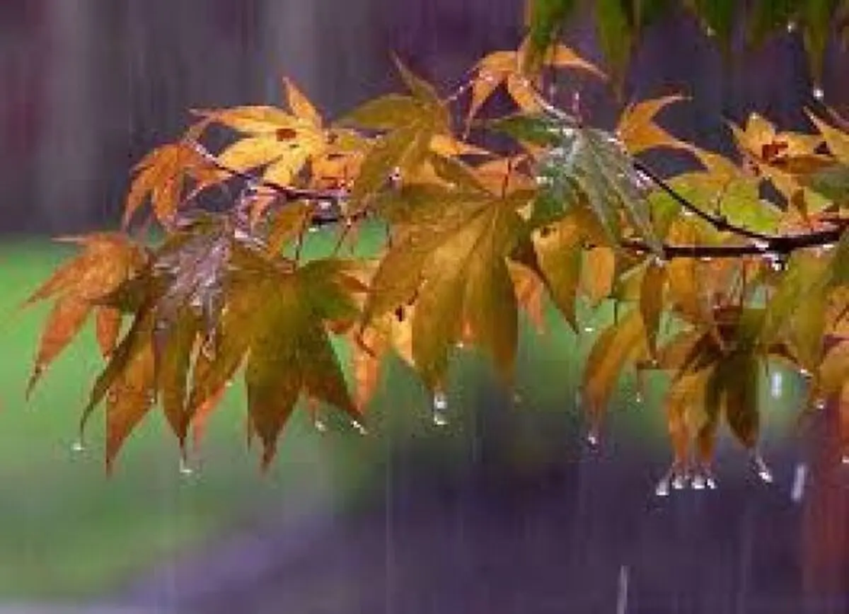 پاییز گرم و کم باران