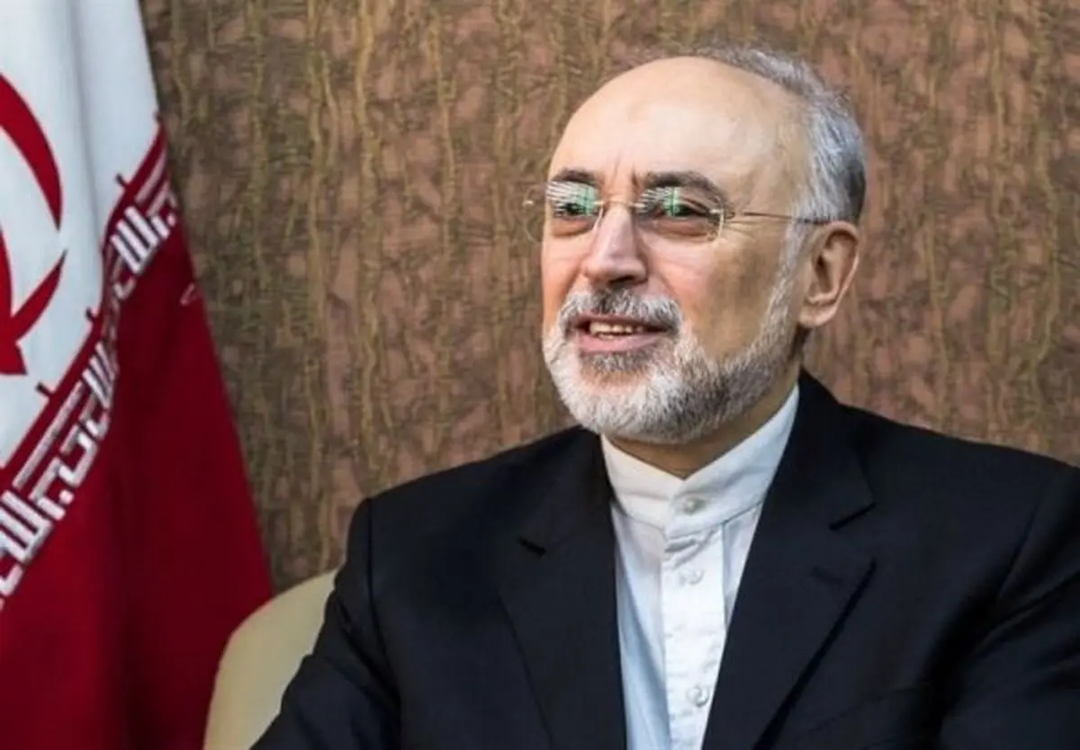صالحی: به برجام پایبند خواهیم بود