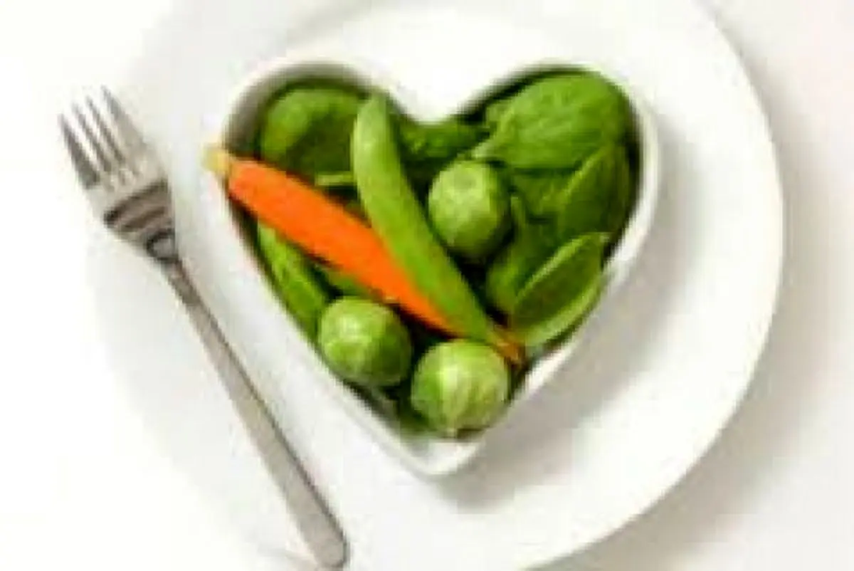 گیاهخوارها تنبل نیستند