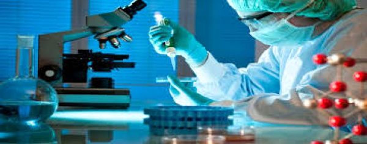 رشد موفقیتآمیز استخوان انسانی در آزمایشگاه
