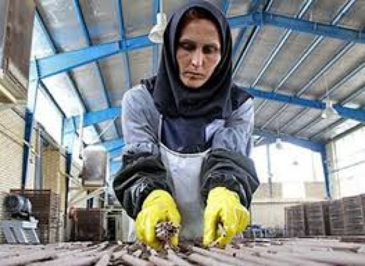 ممنوعیت اخراج مادران کارگر لغو شد