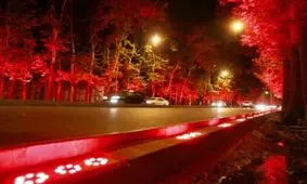 قتل عام درختان با نورهاي مصنوعي!