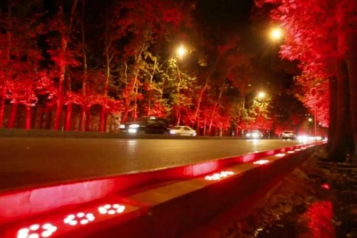 قتل عام درختان با نورهاي مصنوعي!