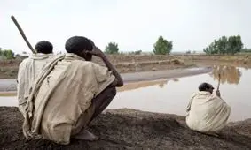 سازمان فائو: 815میلیون نفر در جهان گرسنه هستند