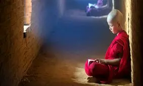 آماری درباره نسبت پیروان ادیان و مذاهب و میزان تحصیلات در جهان