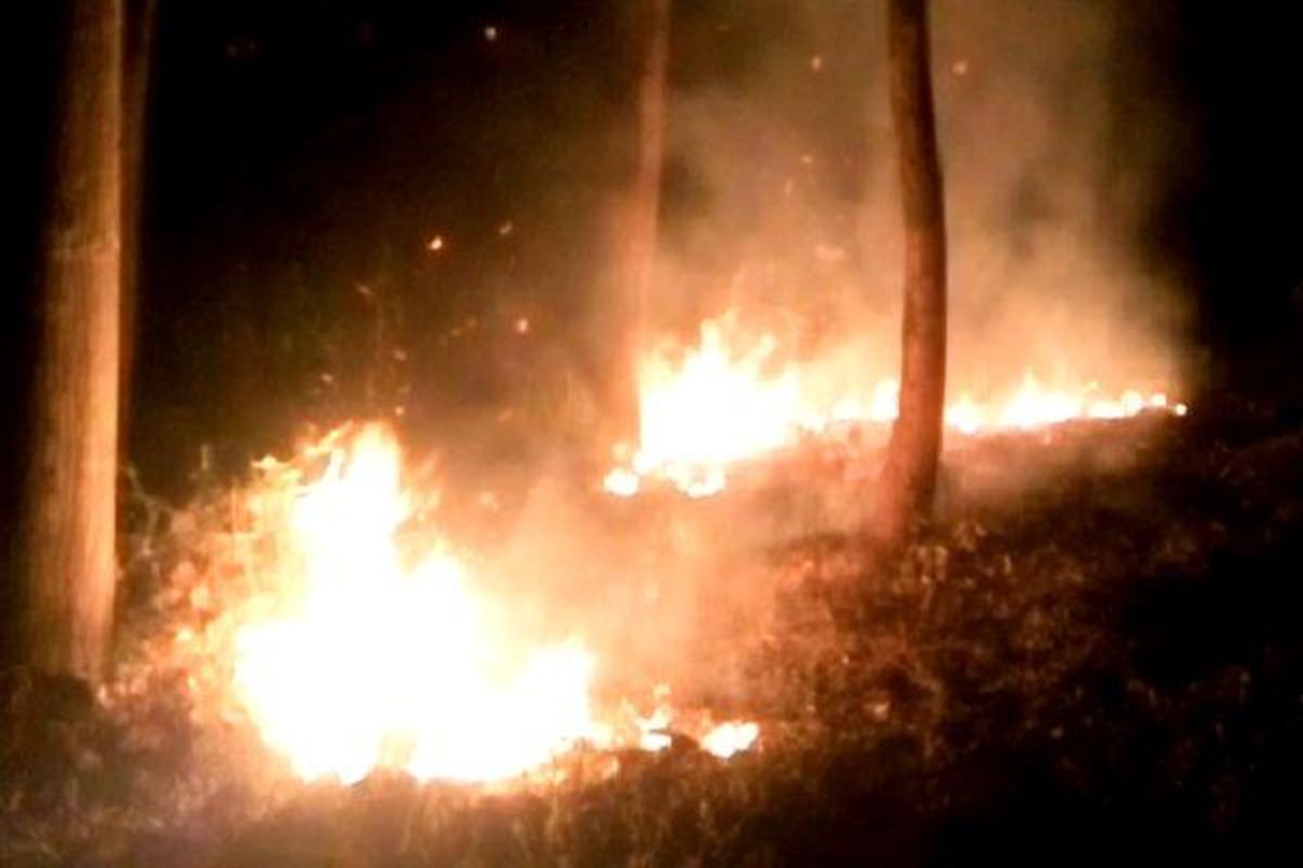 آتش سوزی گسترده کوه بانکول ایوان را فرا گرفت