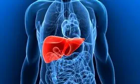 دشمنان اصلی کبد کودکان