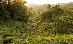 ۱۰ مقصد منتخب از ۱۰۰ تجربه برتر سفر در دنیا + عکس