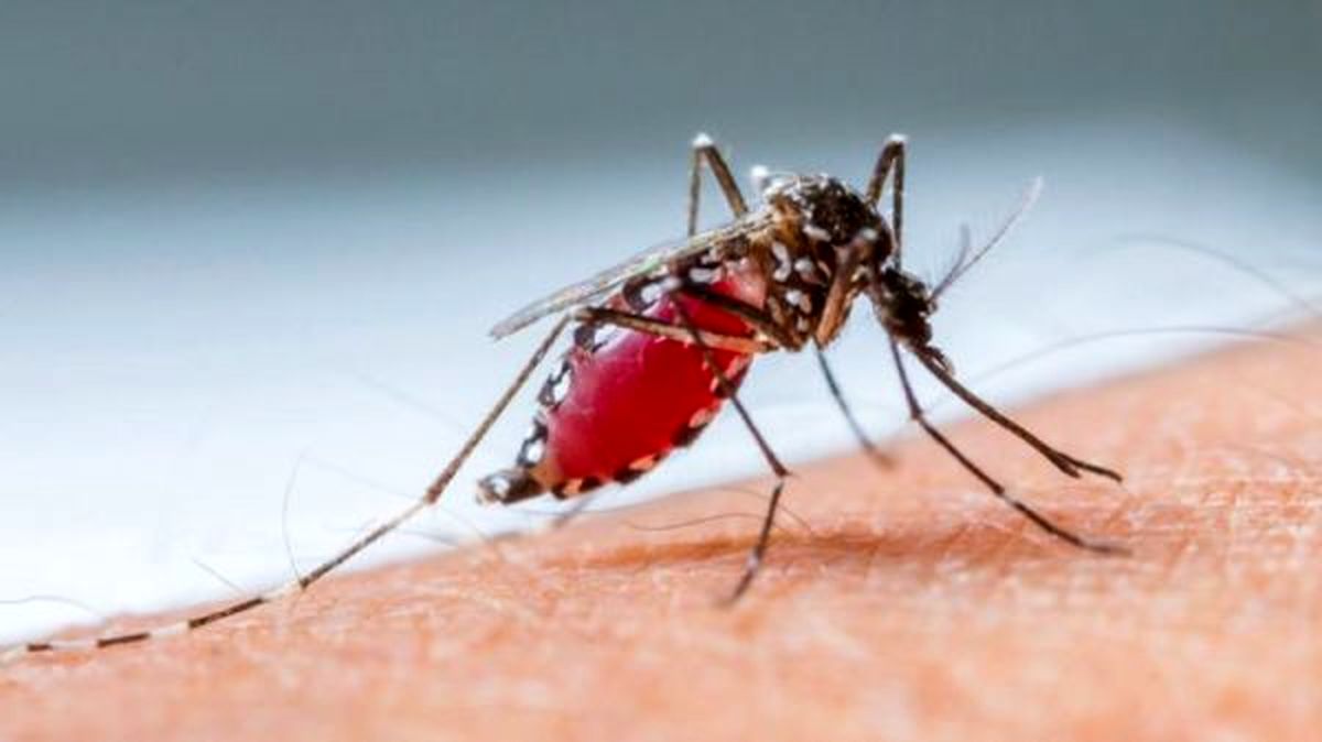 هشدار دانشمندان درباره «اَبَر مالاریا» در جنوب شرقی آسیا