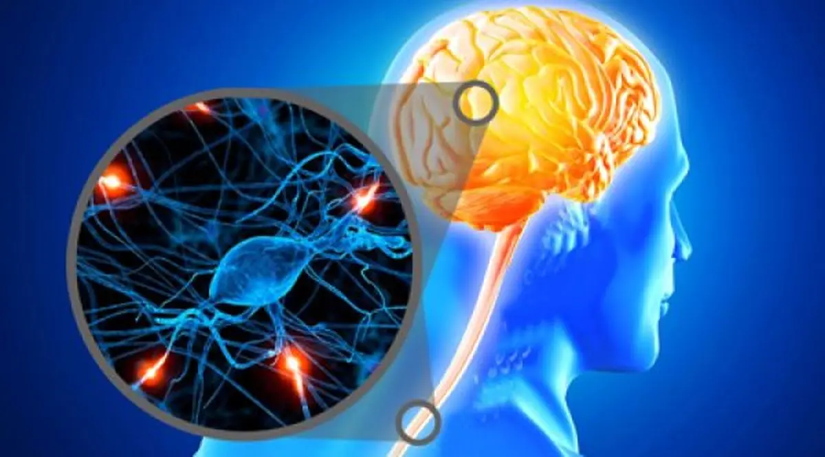 راه درمان تازه برای ام اس چیست؟