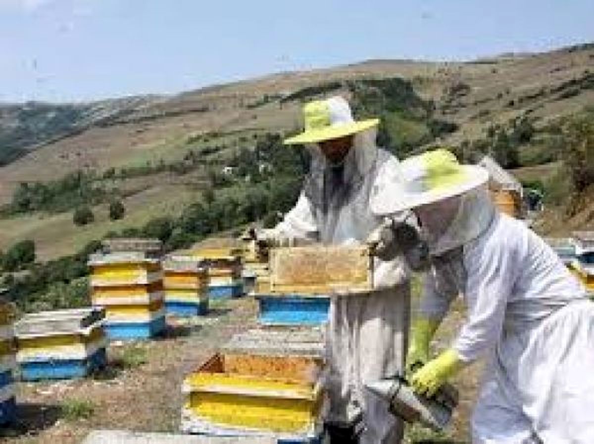 عسل تقلبی در بازار جهانی