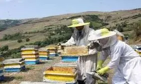 عسل تقلبی در بازار جهانی