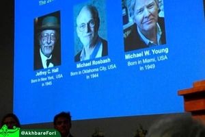 سه دانشمند آمریکایی برنده جایزه نوبل پزشکی شدند
